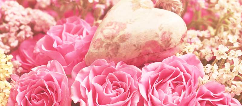 �������L�����f�B�̓���T�C�g