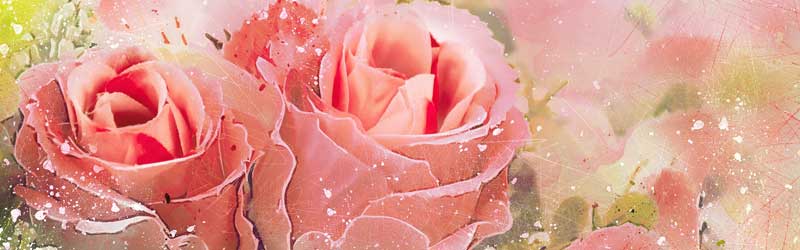 ���܂����������L�����f�B�̃W���j�A